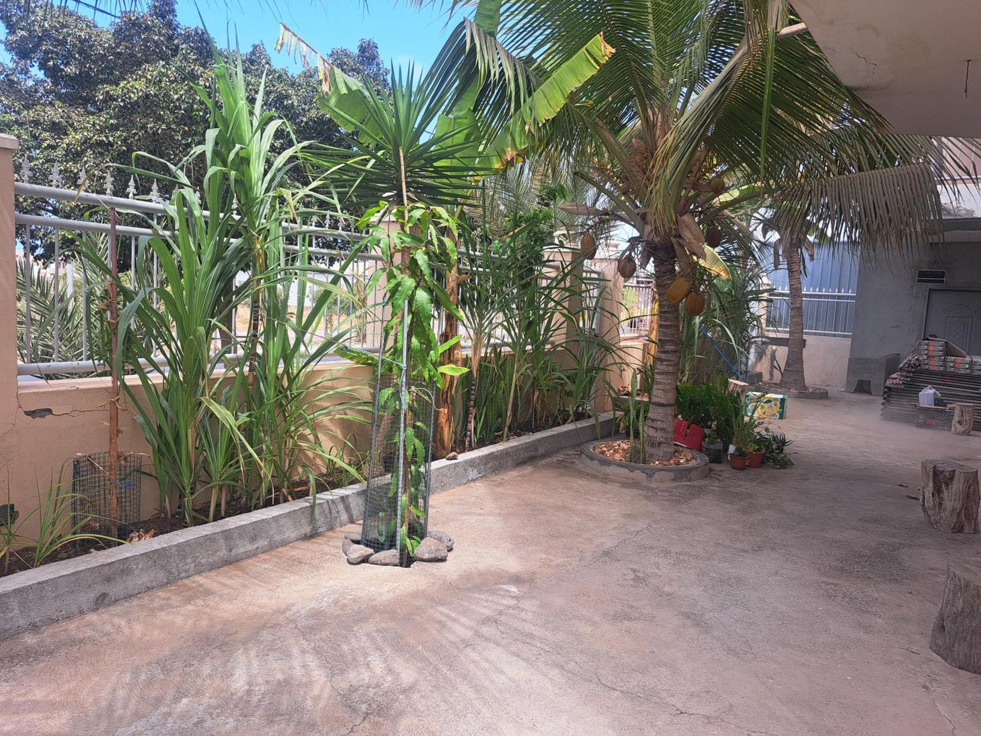 Barros Homestay Tarrafal  Exteriér fotografie