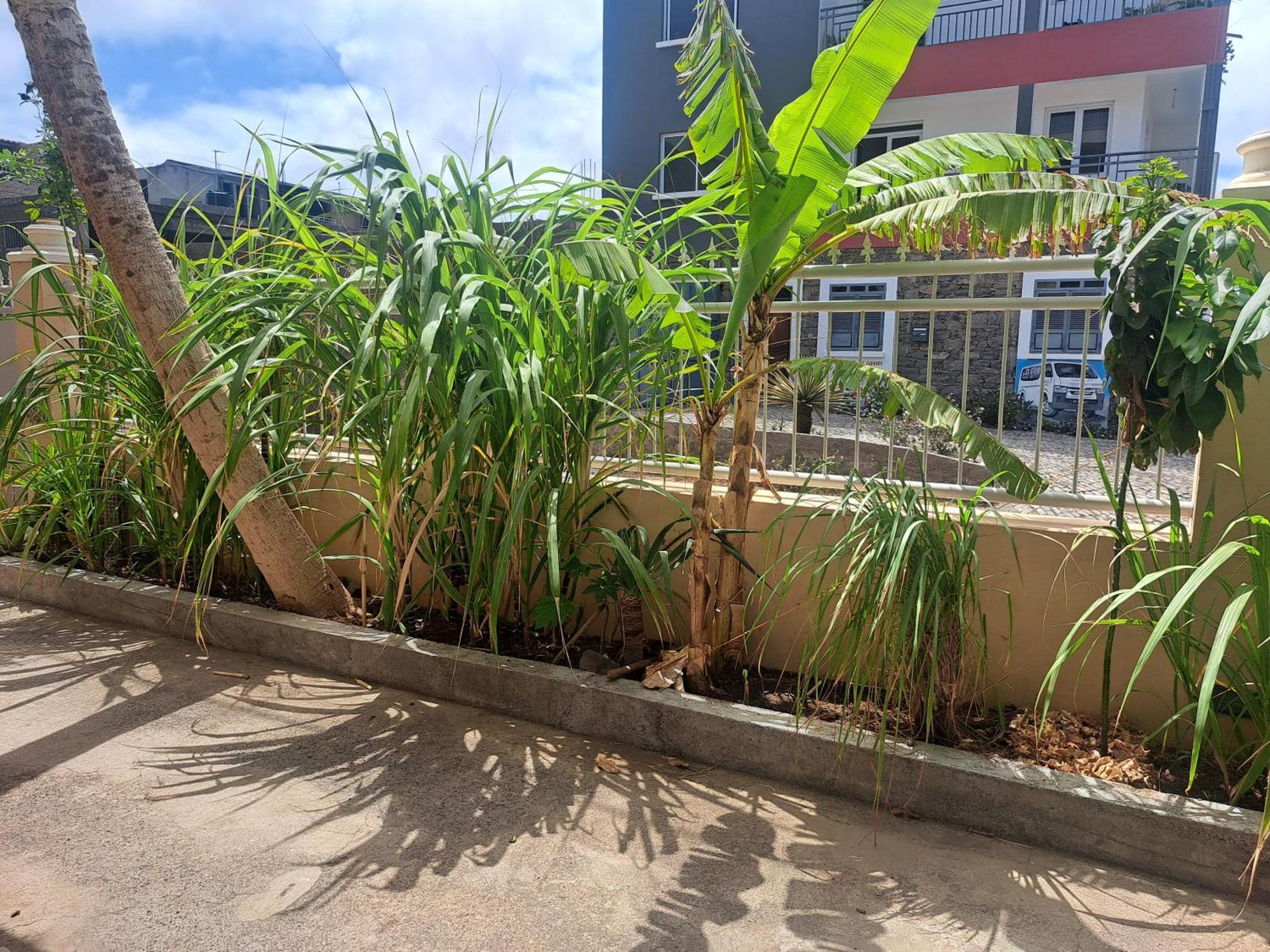 Barros Homestay Tarrafal  Exteriér fotografie